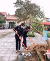 Chi đoàn Viện kiểm sát nhân dân tỉnh Quảng Bình tham gia lễ ra quân tháng thanh niên và hưởng ứng tết trồng cây “Đời đời nhớ ơn Bác Hồ”