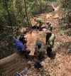 VKSND huyện Quảng Ninh kiến nghị phòng ngừa vi phạm, tội phạm về quản lý, bảo vệ rừng